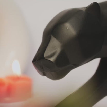Aura Panther