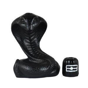 Backflow Snake Fountain