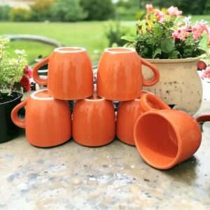 Orange Cup Set of 6