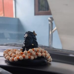 Adiyogi with Tulsi Mala