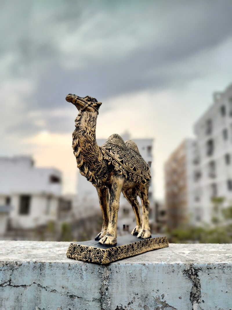 Camel Showpiece