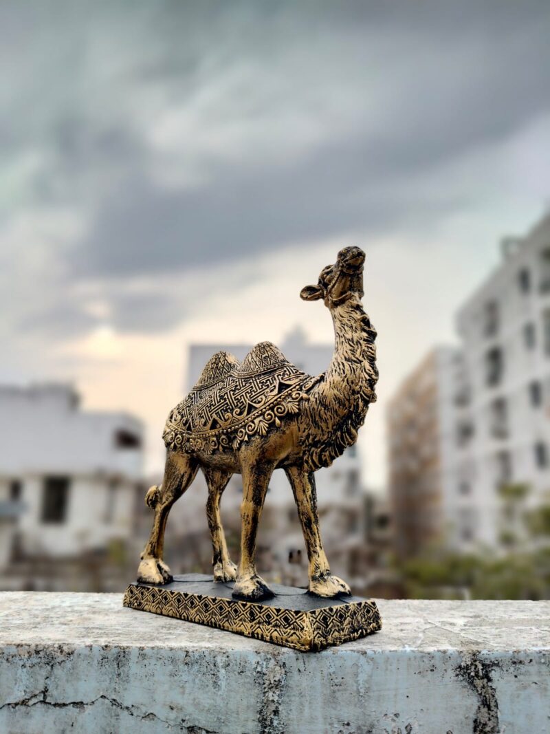 Camel Showpiece