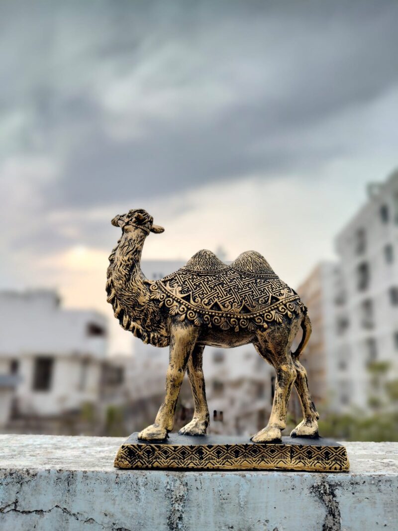 Camel Showpiece